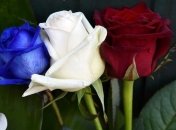 Посол: Данных об украинцах среди жертв терактов в Париже нет