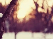 Погода в Украине на 12 декабря: облачно, местами осадки 