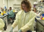 Ученые обнаружили в мозге женщин микрохимерическую мужскую ДНК