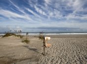 В Джорджии ввели режим ЧП