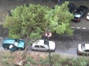 Сильные ураганы пронеслись по Польше, есть погибшие