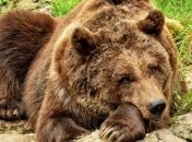 Приметы и обряды на 26 марта – День Никифора