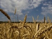 Сумская область заняла 1-е место по приросту валовой продукции