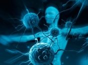 Полезные советы как укрепить иммунитет 