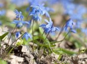 Прогноз погоды в Украине на 26 апреля: потепление до +23 градусов