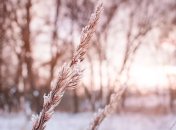 Какой праздник 7 февраля: народные приметы и запреты