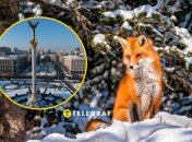 Погода в Киеве