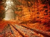 Прогноз погоды в Украине на 24 октября: ожидается похолодание