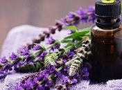 Целебные свойства эфирного масла лаванды