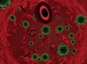 О коронавирусе: какая группа крови более уязвима к COVID-2019