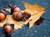 Прогноз погоды на 23 октября: в Украине будет по-прежнему дождливо