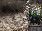 С Вербным воскресеньем: поздравления в стихах и открытках