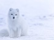 Сильный ветер и мокрый снег: синоптик озвучила прогноз погоды на 25 января