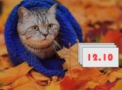 Какой праздник 12 октября