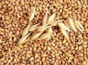 Пшеница в детском питании