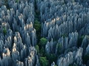 Удивительное зрелище: каменный лес Цинги (Фото)