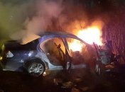 В Днепропетровской области сгорел автомобиль 