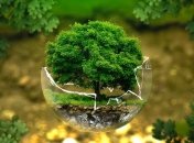 Україна використала всі природні ресурси на цей рік і почала "жити в борг"