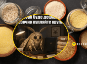Кого точно порадуют запасы, так это вредителей
