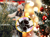 Новогодние елки