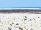 Пляж с попкорном вместо песка: самый необычный пляж (Видео)