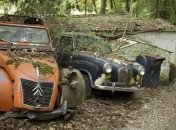 Удивительное кладбище элитных автомобилей в лесу (Фото)