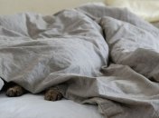 Лікарі вважають, що краще забути про відсипання на вихідних