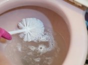 Смена ершика для унитаза необходима