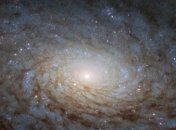 NASA показало знімок галактики, схожої на інший вимір