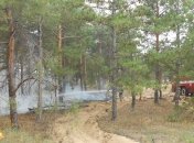 В Херсонской области третий день горит лес