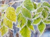 В Украину идет арктический воздух 