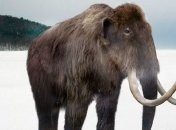 Ученые заявили, что через 10 лет на Земле появятся мамонты