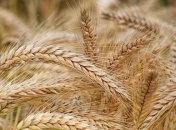 6 августа - праздник, что категорически запрещено делать, главные приметы