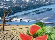 Коллаж "Телеграфа"