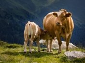 22 августа - праздник, что категорически запрещено делать, главные приметы