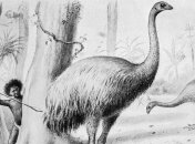 Ученые: способность первобытных людей к истреблению видов