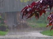 Из-за непогоды без света остались 43 населенных пункта