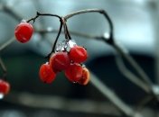 На смену теплым дням придет похолодание: прогноз погоды на неделю