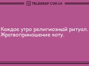 Получил наш позитивчик - значит ты счастливчик: анекдоты