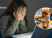 В Киеве скандал из-за жестокого обращения с животными