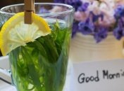 Полезные свойства тархуна