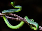 Приметы и обряды на 12 июня - День Еремея, день Исаакия