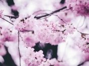 Какой праздник 4 мая: народные приметы и запреты