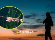 Рыбалка — увлечение многих украинцев