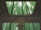 Компания Ford создаст автомобиль из бамбука