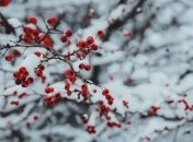 Какой праздник 4 февраля: народные приметы и запреты