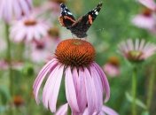 21 червня – яке сьогодні свято та що не можна робити в цей день