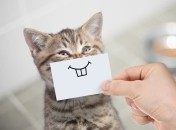 Яким знакам Зодіаку посміхнеться удача з 15 по 21 серпня