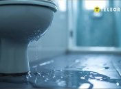 Есть несколько причин протекания унитаза после смыва (изображение создано с помощью ИИ)