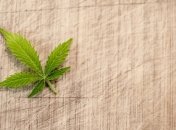 В Грузии собираются наладить экспорт марихуаны 